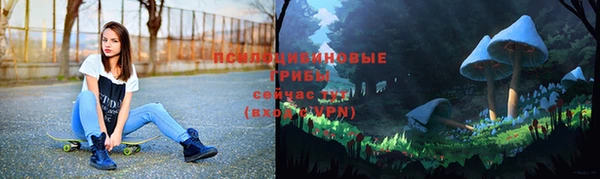 дурь Верея