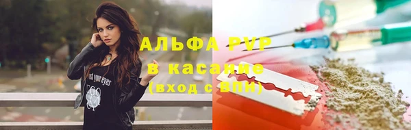 гидра Верхний Тагил