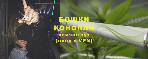 дурь Верея