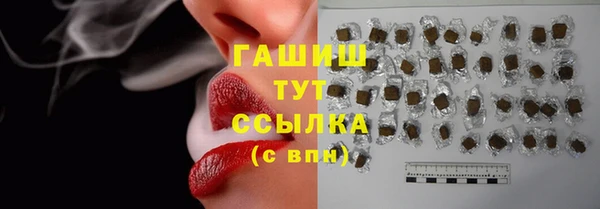 гидра Верхний Тагил