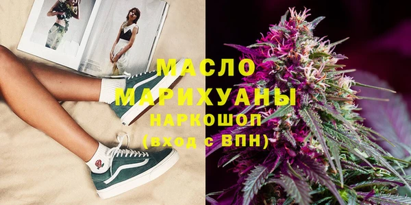 гидра Верхний Тагил