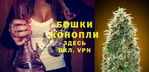 гидра Верхний Тагил
