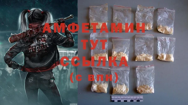 гидра Верхний Тагил