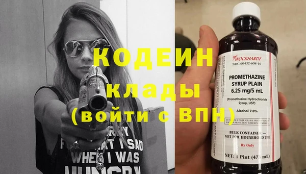 гидра Верхний Тагил
