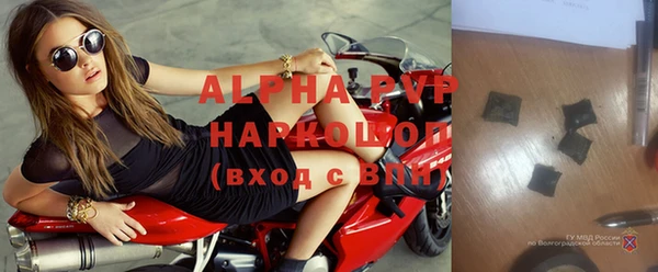 гидра Верхний Тагил