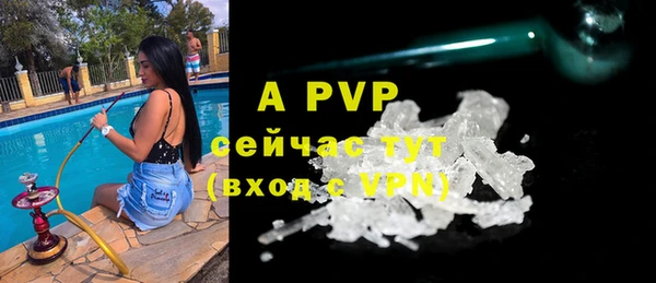гидра Верхний Тагил