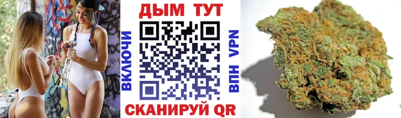 Каннабис сатива  Цоци-Юрт 